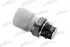 PATRON PE20070 Temperature Switch, radiator fan
